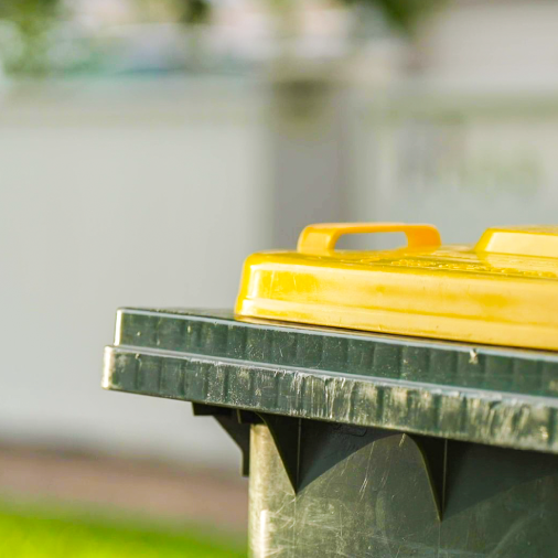 Recycling Behaviours Report kerbside bin